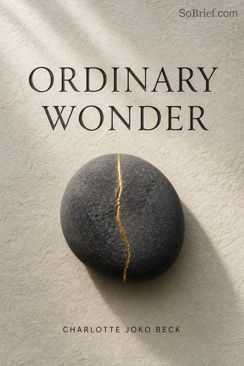 Ordinary Wonder