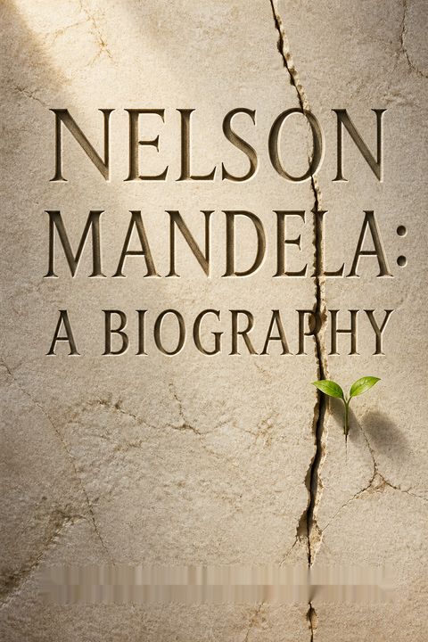Nelson Mandela by Martin Meredith