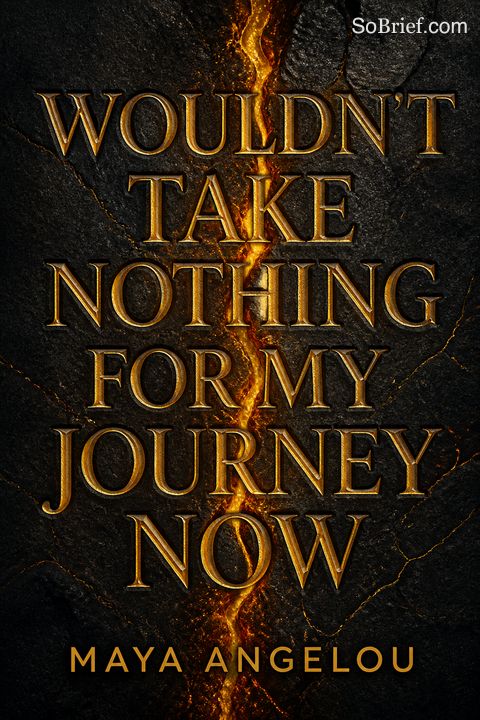 Wouldn't Take Nothing for My Journey Now