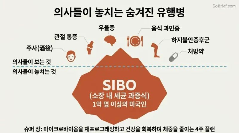 Iceberg diagram showing scattered symptoms visible above a waterline while a massive shape labeled SIBO dominates beneath, dwarfing the visible surface.