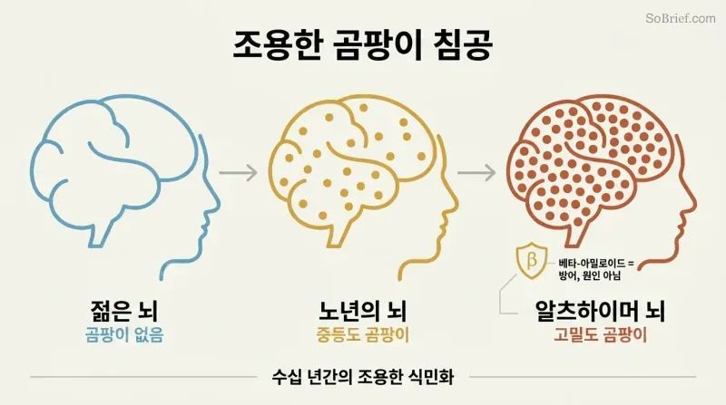 Three brain silhouettes in a left-to-right progression showing zero, moderate, and dense fungal colonization corresponding to young, elderly, and Alzheimer's brains.