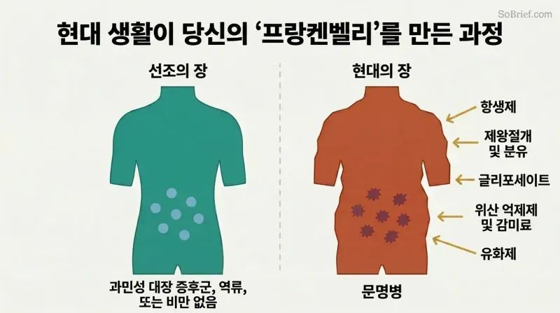 Split panel comparing a healthy ancestral gut on the left with a distorted modern gut on the right, five disruptor arrows converging on the damaged side.