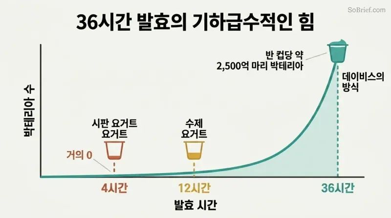 Exponential growth curve showing bacterial count exploding after 30 hours, with markers at 4, 12, and 36 hours revealing why longer fermentation yields a thousandfold more bacteria.