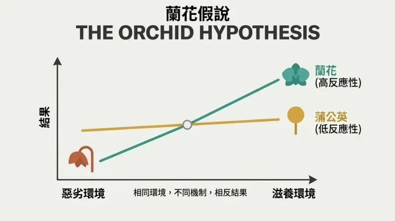 Two-line chart showing orchid children's steep slope crossing the flat dandelion line, performing worse in harsh environments but surpassing dandelions in nurturing ones.