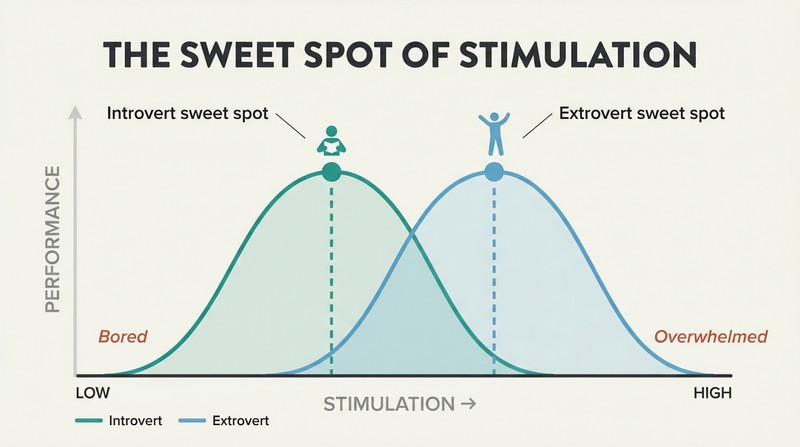 Two inverted-U curves on a stimulation spectrum showing introverts peaking at lower stimulation and extroverts peaking at higher stimulation.