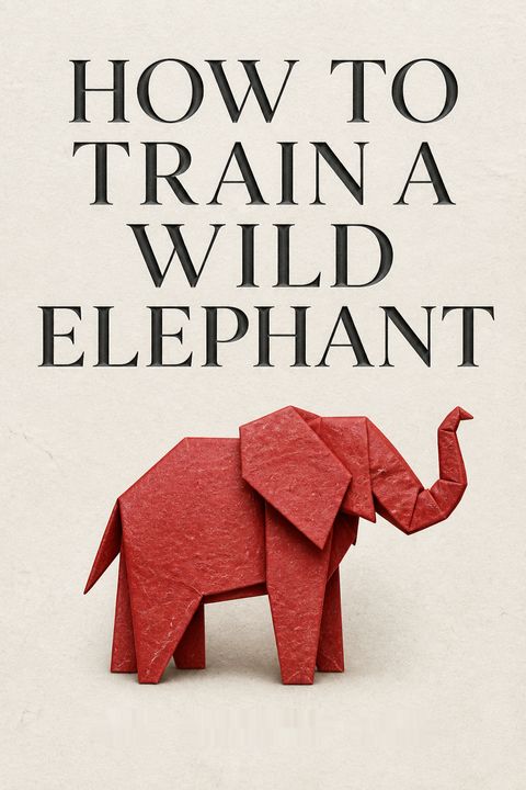 How to Train a Wild Elephant by Jan Chozen Bays