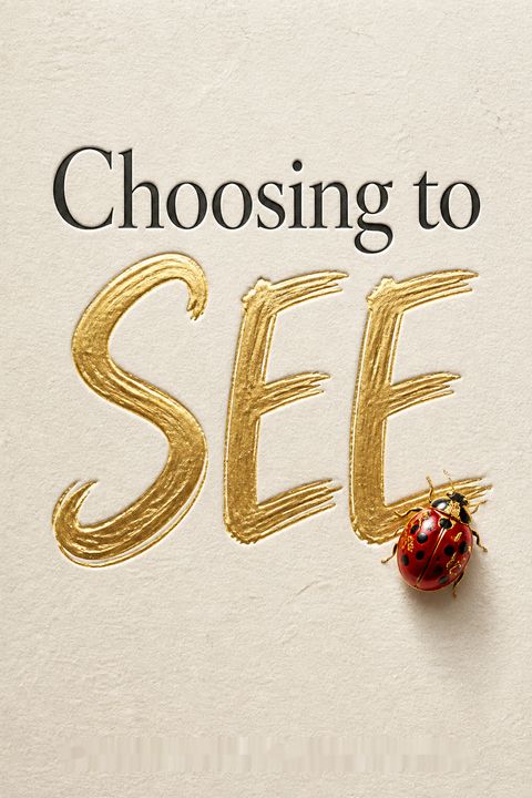 Choosing to SEE by Mary Beth Chapman