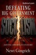 Defeating Big Government Socialism
