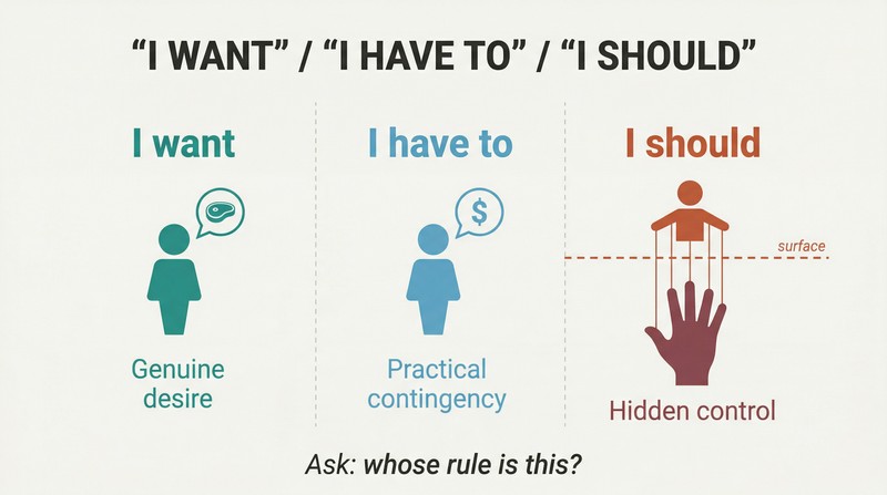 Three-column framework comparing genuine desires and contingencies against manipulative should-statements, with the third column revealing hidden strings of external control beneath the surface.