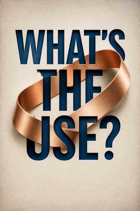 What's the Use? by Ian Stewart