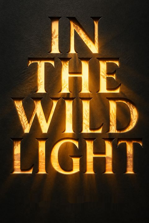 In the Wild Light by Jeff Zentner