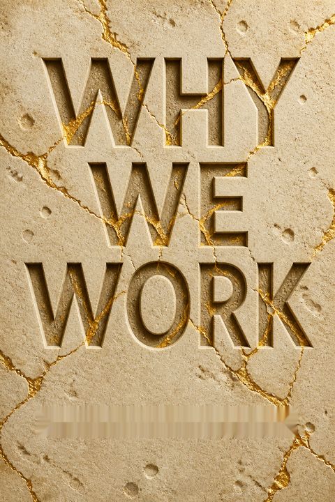 Why We Work