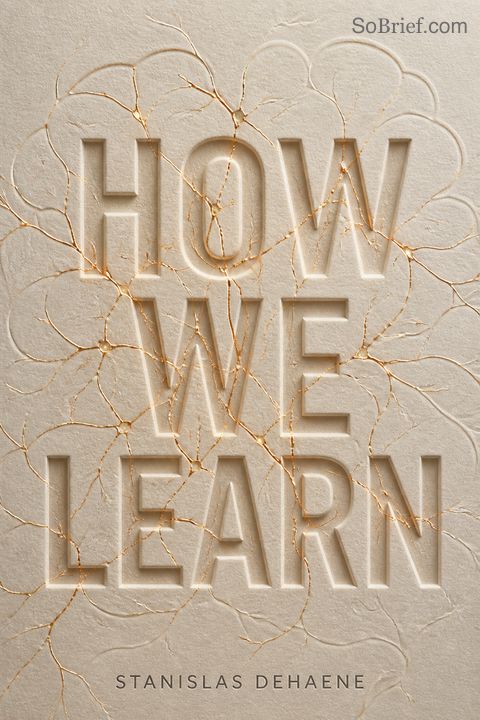 How We Learn