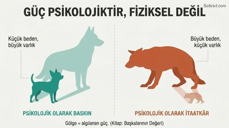 A small confident Chihuahua casts a large shadow while a large cowering German Shepherd casts a small shadow, showing power comes from psychology not size.