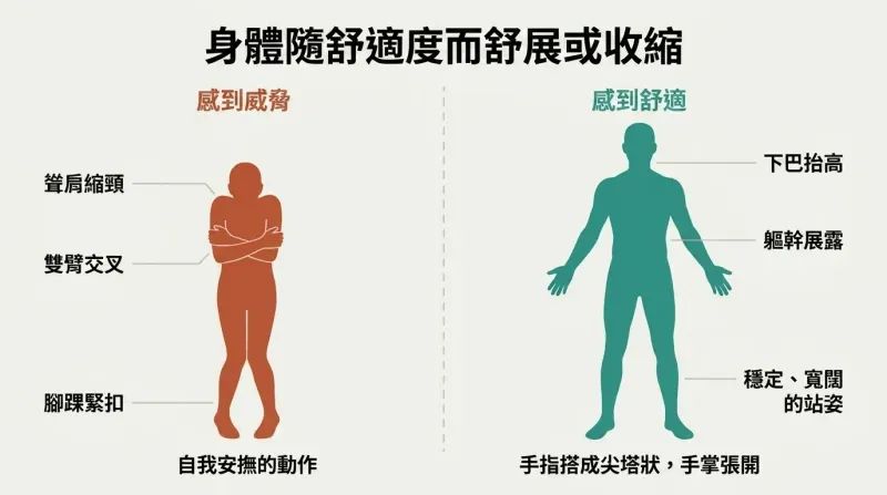 Split comparison of two human silhouettes — one hunched and contracted showing threat signals, one upright and expanded showing confidence signals, with labeled body language cues on each.