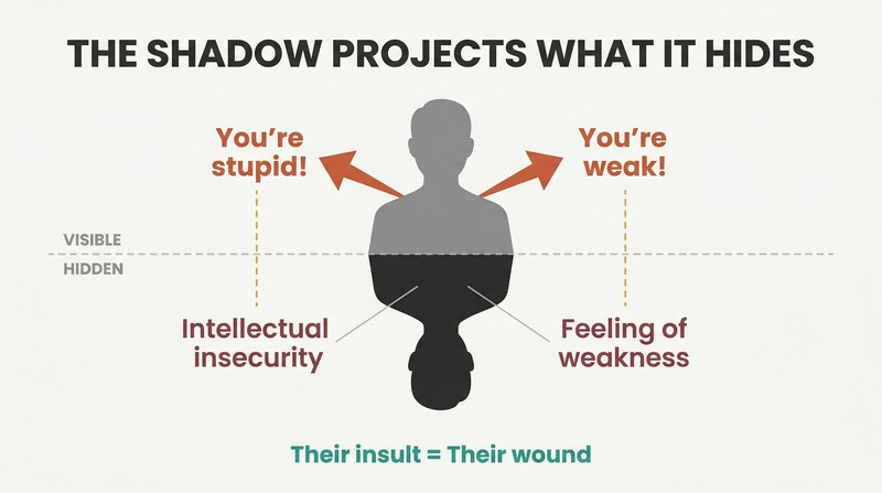 Iceberg diagram showing a figure's outward insults above a waterline mirroring their hidden insecurities below it.