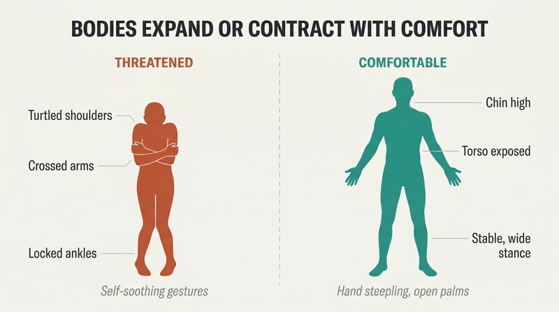 Split comparison of two human silhouettes — one hunched and contracted showing threat signals, one upright and expanded showing confidence signals, with labeled body language cues on each.