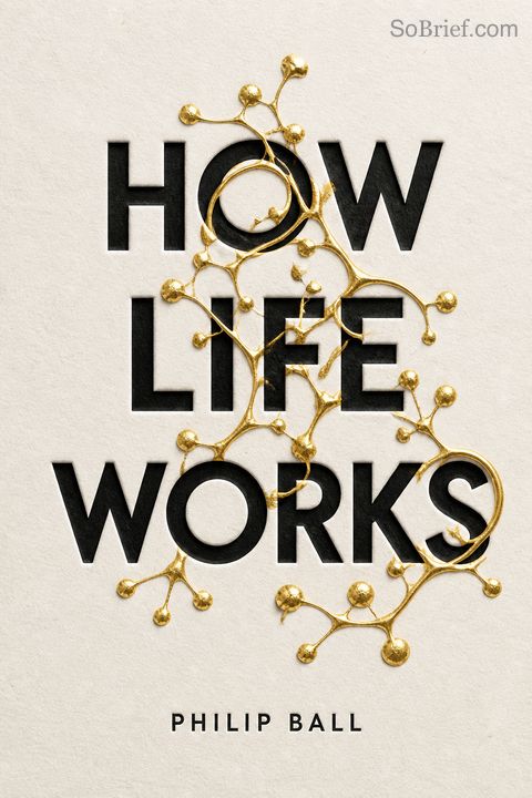 How Life Works