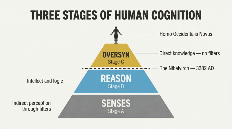 Three-tier ascending pyramid showing humanity's cognitive evolution from senses through reason to the Oversyn, with the Nibelvirch breakthrough marked between the upper tiers.