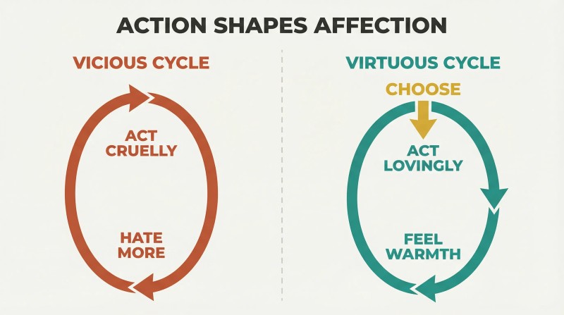 Two opposing feedback loops showing how cruel acts deepen hatred while chosen loving acts generate genuine warmth.
