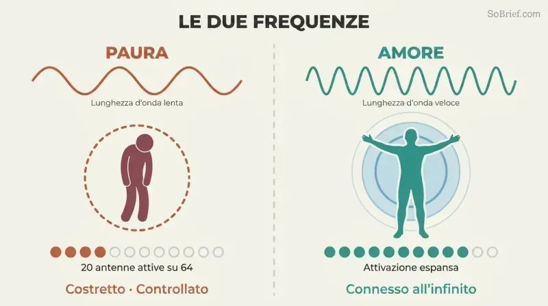 Split panel comparing fear's long slow wavelength constricting a human figure with few active antennas against love's fast wavelength expanding a figure with many active antennas.