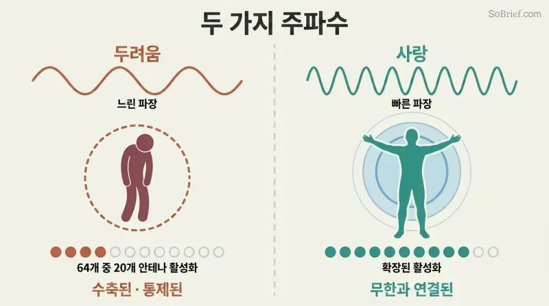 Split panel comparing fear's long slow wavelength constricting a human figure with few active antennas against love's fast wavelength expanding a figure with many active antennas.