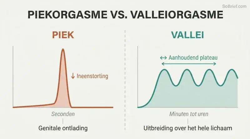 Split comparison showing a sharp spike that crashes to zero on the left versus sustained rolling waves of pleasure on the right, plotted over time.