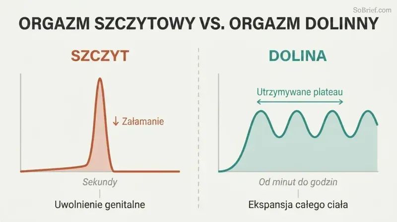Split comparison showing a sharp spike that crashes to zero on the left versus sustained rolling waves of pleasure on the right, plotted over time.