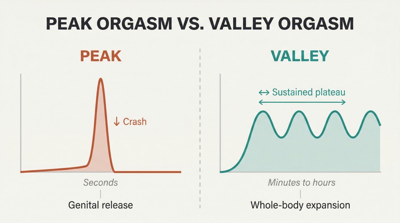 Split comparison showing a sharp spike that crashes to zero on the left versus sustained rolling waves of pleasure on the right, plotted over time.