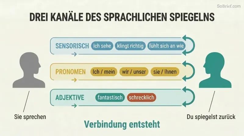 Three parallel word categories — sensory, pronouns, and adjectives — flow from a speaker figure through labeled lanes and reflect back from a listener, showing the mirroring technique.