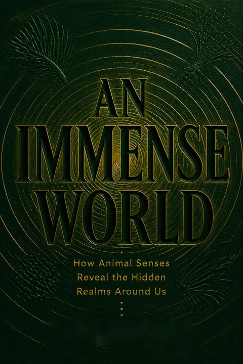 An Immense World