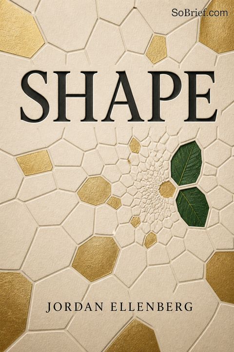 Shape