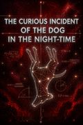 The Curious Incident of the Dog in the Night-Time