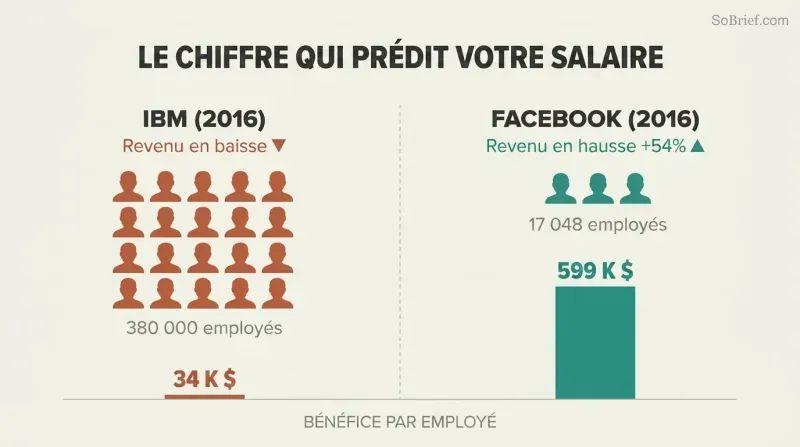 Split comparison showing IBM's tiny profit-per-employee bar beside Facebook's dramatically taller one, revealing that fewer employees with higher profit per head predicts better compensation.