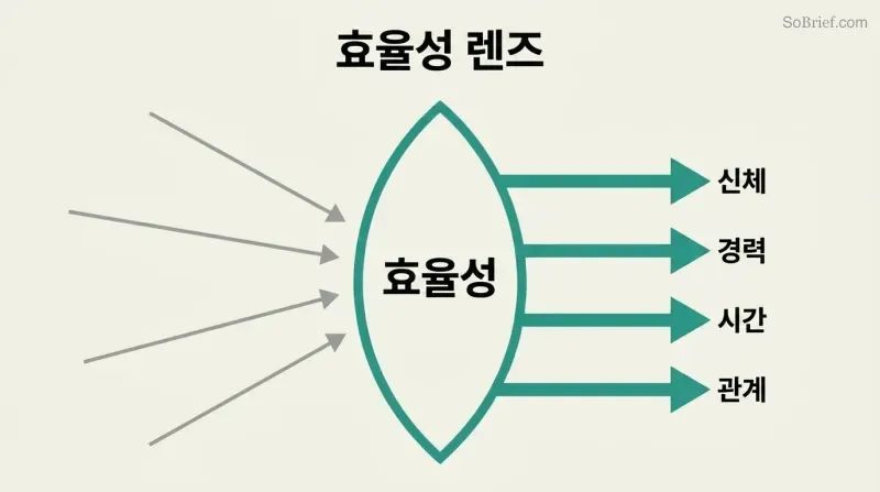 Scattered gray arrows converging through a teal lens labeled Efficiency emerge as four aligned parallel arrows pointing toward Body, Career, Time, and Relationships.
