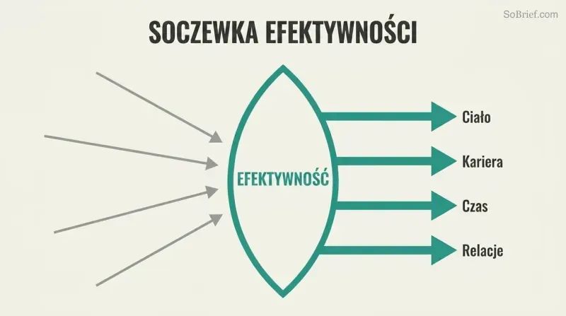 Scattered gray arrows converging through a teal lens labeled Efficiency emerge as four aligned parallel arrows pointing toward Body, Career, Time, and Relationships.