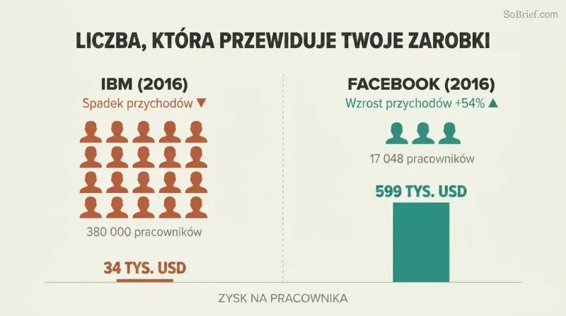 Split comparison showing IBM's tiny profit-per-employee bar beside Facebook's dramatically taller one, revealing that fewer employees with higher profit per head predicts better compensation.