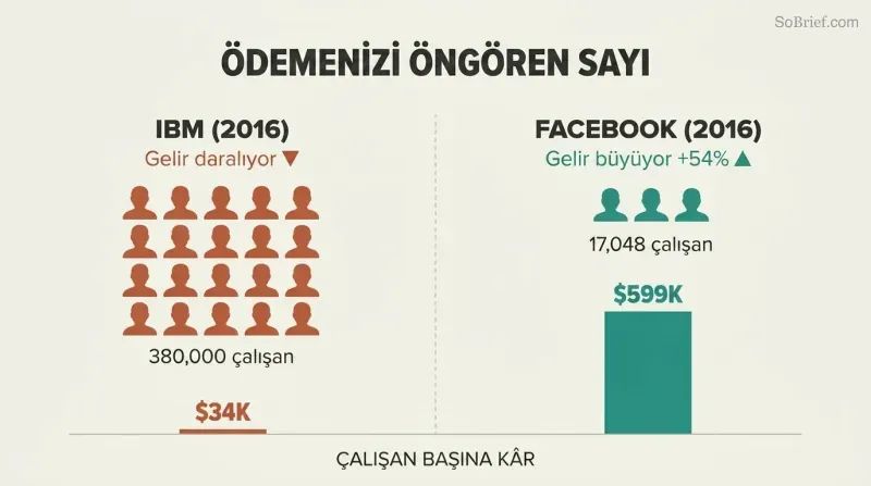 Split comparison showing IBM's tiny profit-per-employee bar beside Facebook's dramatically taller one, revealing that fewer employees with higher profit per head predicts better compensation.