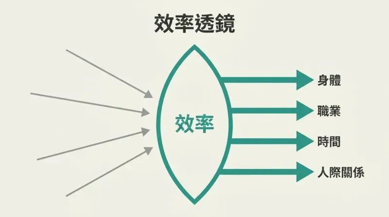 Scattered gray arrows converging through a teal lens labeled Efficiency emerge as four aligned parallel arrows pointing toward Body, Career, Time, and Relationships.