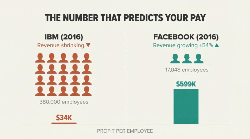 Split comparison showing IBM's tiny profit-per-employee bar beside Facebook's dramatically taller one, revealing that fewer employees with higher profit per head predicts better compensation.