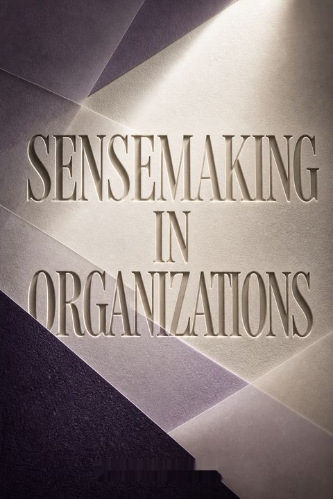 Sensemaking in Organizations by Karl E. Weick