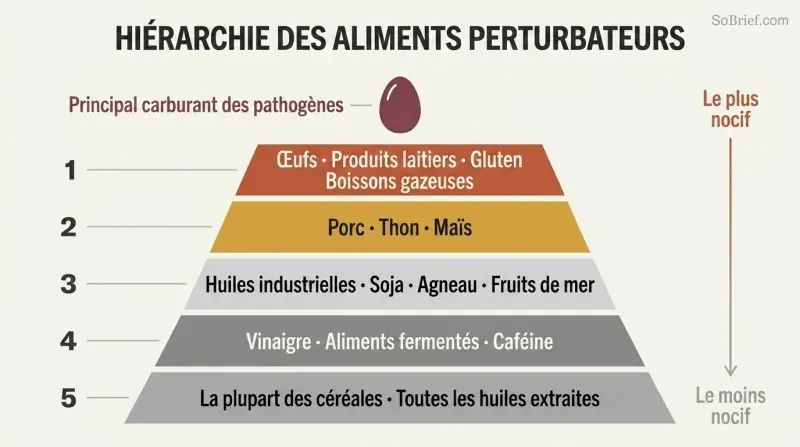 Five-tier pyramid showing progressive levels of troublemaker foods, with eggs at the narrow peak as the top pathogen fuel and each wider tier below adding more foods to eliminate.