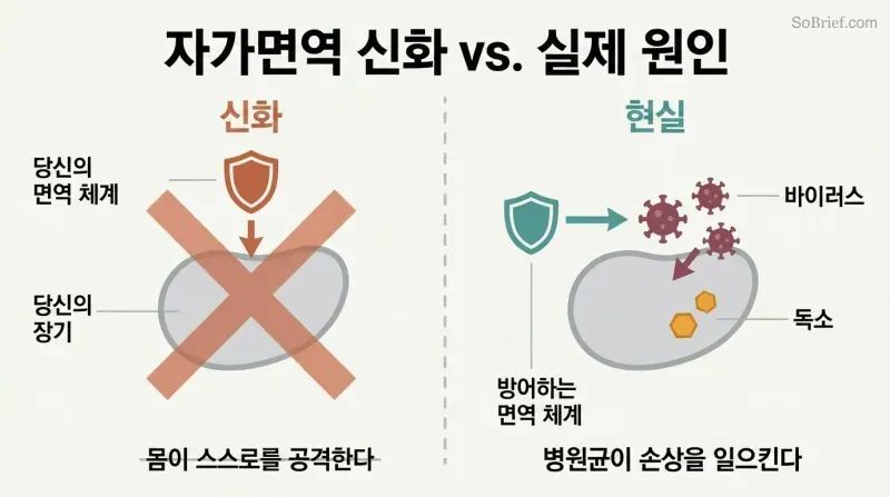 Split panel contrasting the autoimmune theory of the body attacking itself on the left with viruses and toxins as the real cause of inflammation on the right.