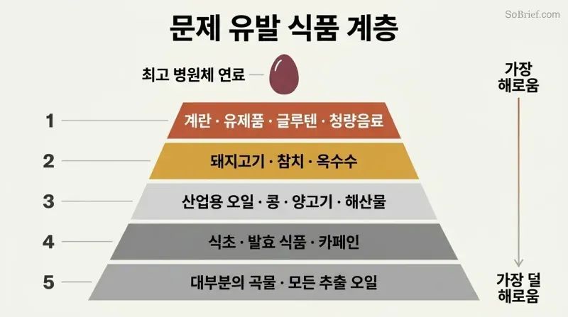 Five-tier pyramid showing progressive levels of troublemaker foods, with eggs at the narrow peak as the top pathogen fuel and each wider tier below adding more foods to eliminate.