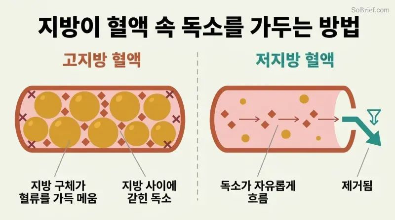 Split panel comparing fat-thickened blood with toxins trapped among fat globules versus thin blood where toxins flow freely toward elimination.