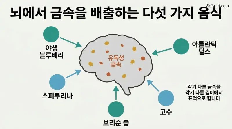 Hub-and-spoke diagram with a brain silhouette at center containing scattered metal dots, surrounded by five ingredient icons each connected by inward-pointing arrows showing coordinated extraction.