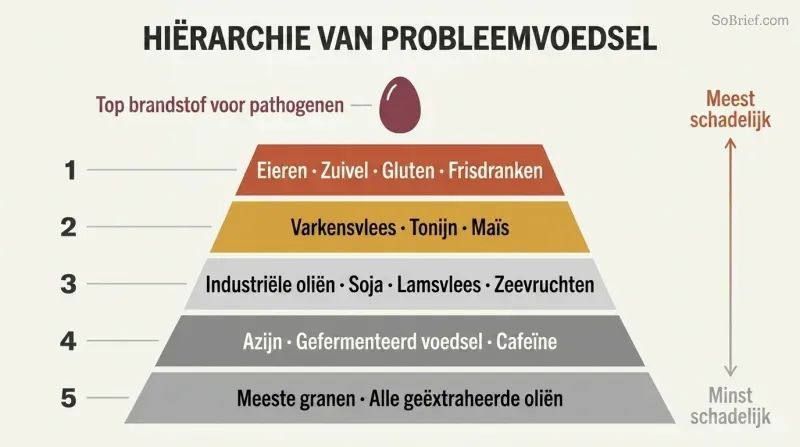 Five-tier pyramid showing progressive levels of troublemaker foods, with eggs at the narrow peak as the top pathogen fuel and each wider tier below adding more foods to eliminate.