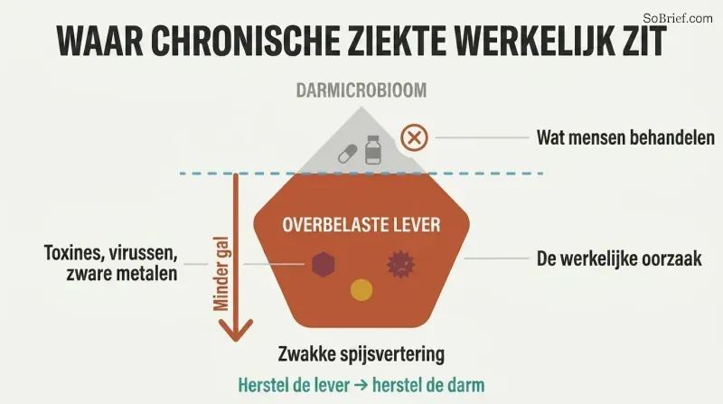 Iceberg diagram showing gut microbiome as the small visible tip people treat, while the overburdened liver sits as the massive hidden root cause below the waterline.