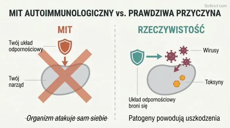 Split panel contrasting the autoimmune theory of the body attacking itself on the left with viruses and toxins as the real cause of inflammation on the right.