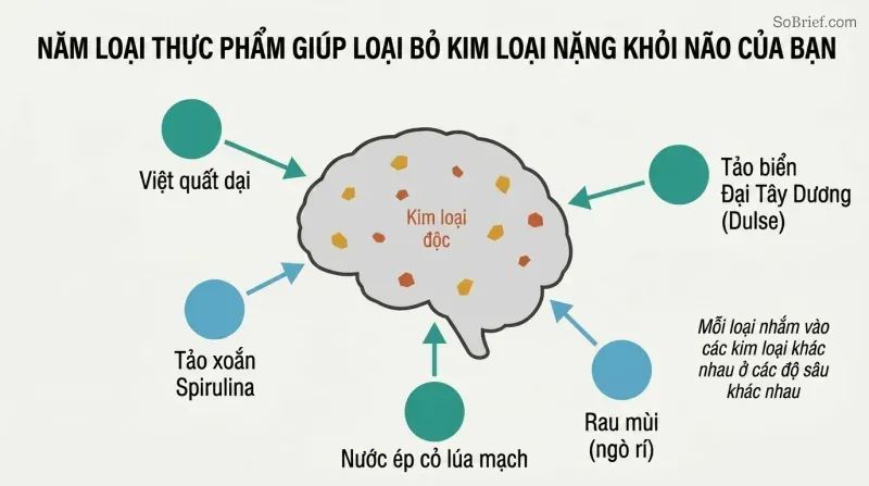 Hub-and-spoke diagram with a brain silhouette at center containing scattered metal dots, surrounded by five ingredient icons each connected by inward-pointing arrows showing coordinated extraction.
